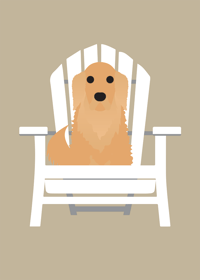 Image 8 of Golden Retriever Collection