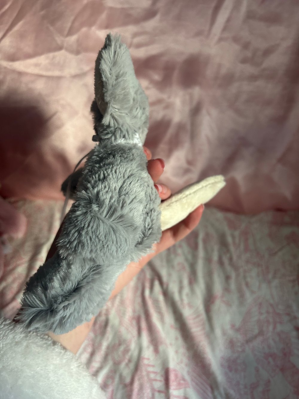 Image of cotton the mouse