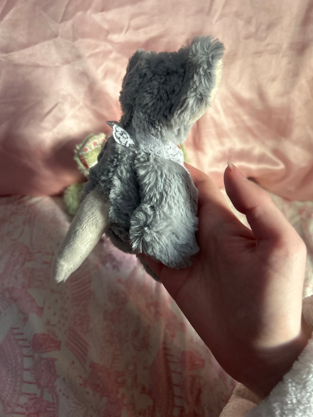 Image of cotton the mouse