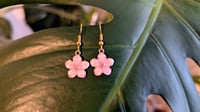 Cherry Blossom Babes