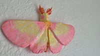 Image 2 of Rosy maple paper mache moth