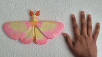 Image 3 of Rosy maple paper mache moth
