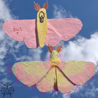 Image 1 of Rosy maple paper mache moth