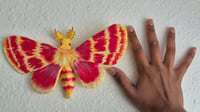 Image 3 of Schinia volupia paper mache moth