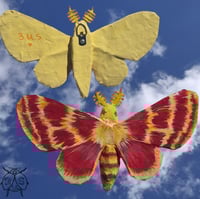 Image 1 of Schinia volupia paper mache moth