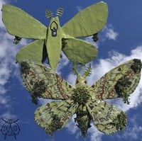 Image 1 of Mossy paper mache moth