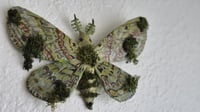 Image 2 of Mossy paper mache moth