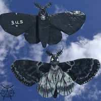 Image 1 of Rusic sphinx paper mache moth