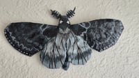 Image 2 of Rusic sphinx paper mache moth