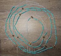 Image 1 of Cyan Shamrock