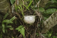 Image 1 of community – anxiety