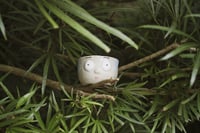 Image 1 of community – surprise