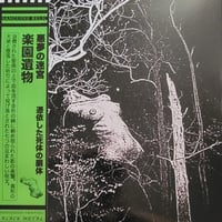 Image 1 of Sanguine Relic – Labyrinth Of Nightmares 12" Green