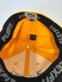 Image 3 of Vintage Alien Workshop Hat