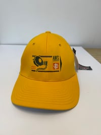 Image 4 of Vintage Alien Workshop Hat