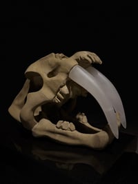 Image 2 of BEFORE MERCY 