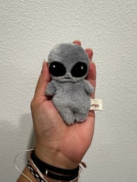 Mini Grey Roswell
