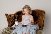 Image 2 of Mini Moo Mini Sessions with Willow