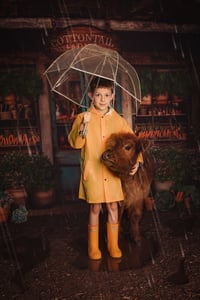 Image 3 of Mini Moo Mini Sessions with Willow