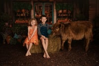 Image 5 of Mini Moo Mini Sessions with Willow