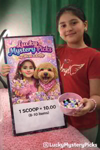 Image 1 of Lucky Mystery Picks – Mini Scoop by Alexa & Luffy (8–10 Items)