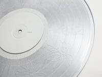 Image 5 of Aster-青い薔薇 OTTER006