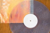 Image 3 of Aster-青い薔薇 OTTER006