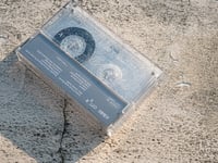 Image 2 of Aster-青い薔薇 OTTER006CS