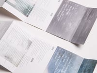 Image 4 of Aster-青い薔薇 OTTER006CS