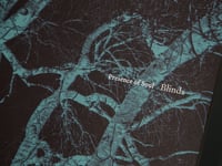 Image 3 of Blinds-Presence of Soul OTTER007