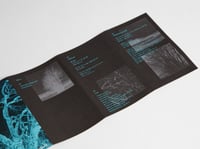 Image 2 of Blinds-Presence of Soul OTTER007CS