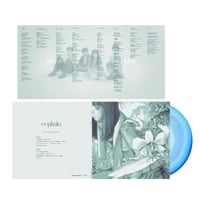 Image 2 of Fluorite code-cephalo OTTER008LP