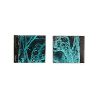 Image 2 of Blinds-Presence of Soul OTTER007CD