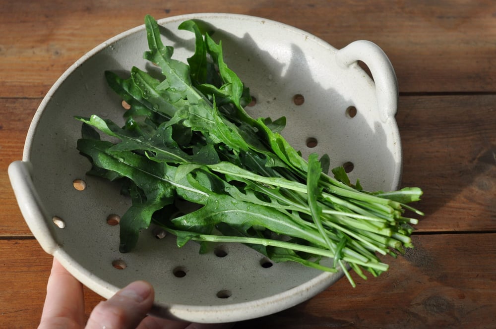 Image of Stor skylleskål