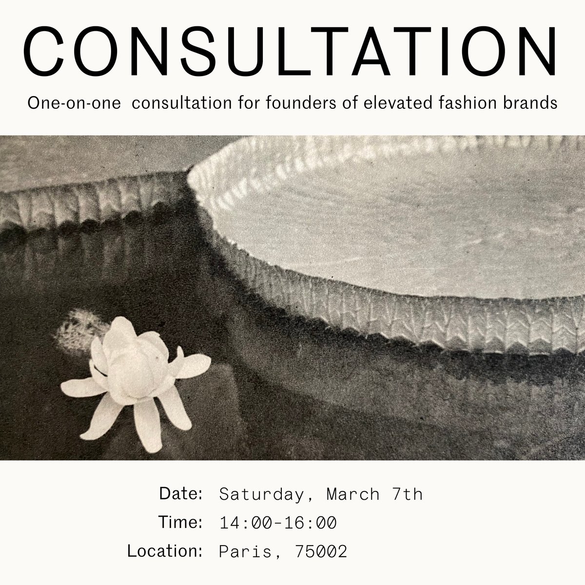 Image of 2hr Founder Consultation | Paris