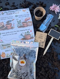 Image 2 of 🌼 Wild Cubs – Flower Plant Growing Kit