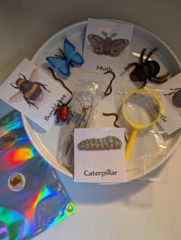 Image 1 of 🐞 Wild Cubs Mini Beast Explorer Kit 🐛