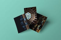 Black & Light Collection