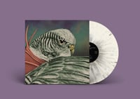 Image 2 of Various Artists - Never Turn Your Back On A Friend - Budgie Tribute - 50 Years Later 1LP