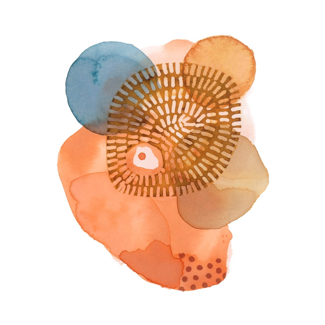 Image of Verano 1