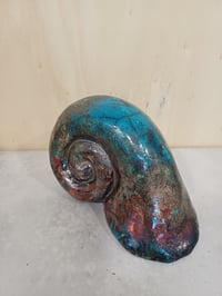 Image 1 of Nautilus bleu cuivré
