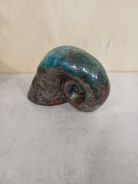 Image 3 of Nautilus bleu cuivré