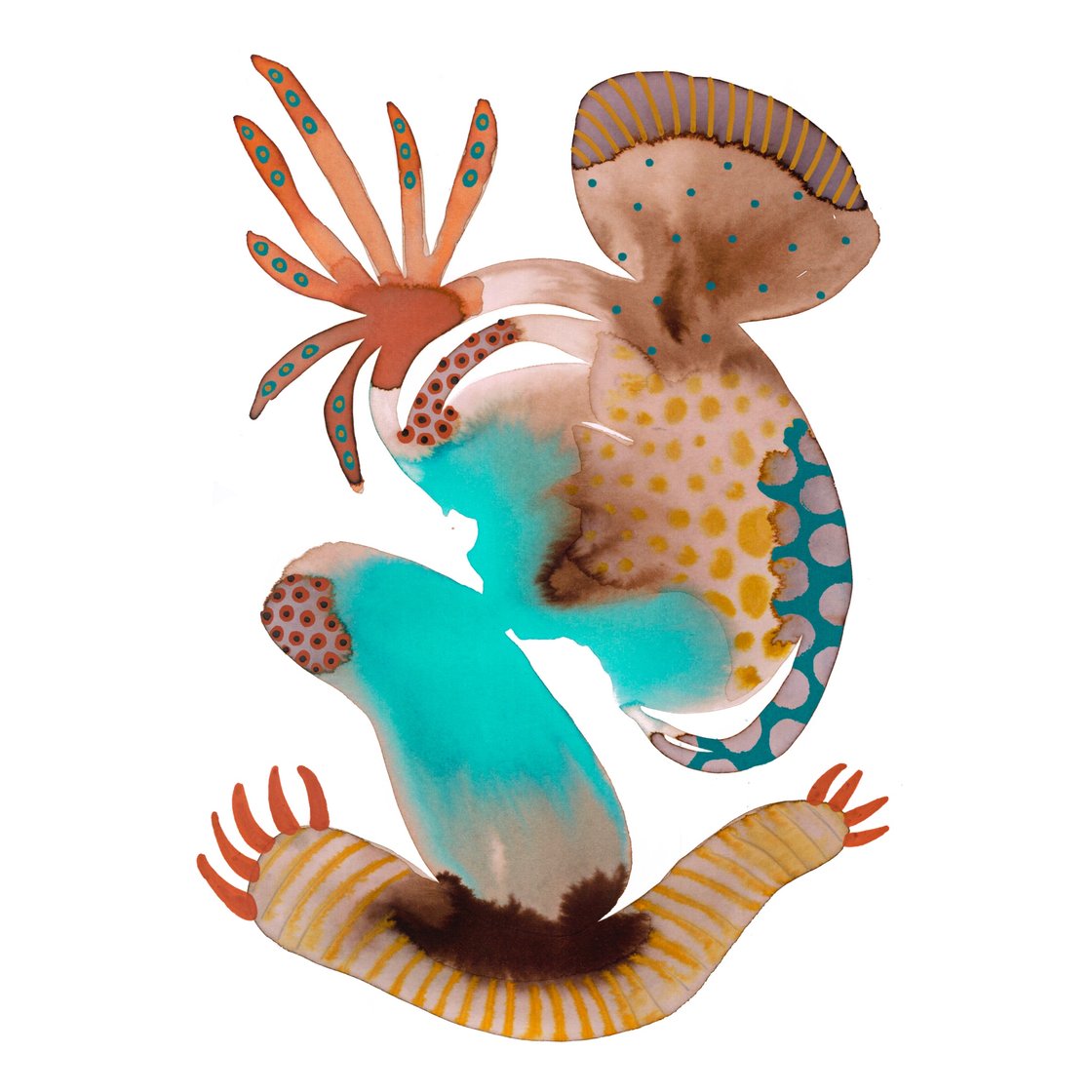 Image of Turquesa