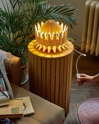 Image 1 of Floralis Orange — table and wall lamp