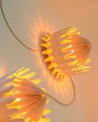 Image 3 of Floralis Orange — table and wall lamp