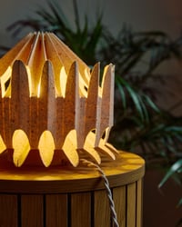 Image 2 of Floralis Orange — table and wall lamp