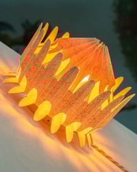 Image 4 of Floralis Orange — table and wall lamp