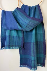 Image 1 of Hagden (Seabird)