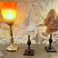 Image 2 of Coquillage Murex sur socle en bois tourné noirci fin XIXe -  Cabinet de curiosités 