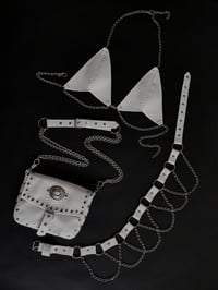 Image 1 of WHITESNAKE SET SPECIAL